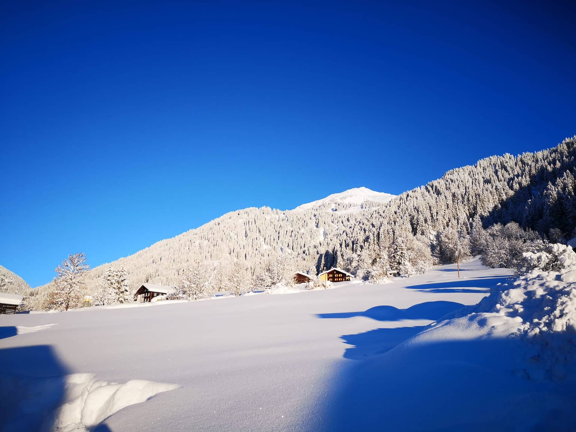 Verschneite Bäume und Wiesen bei St. Gallenkirch unter blauem Himmel